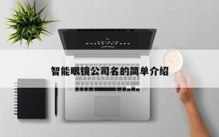 智能眼镜公司名的简单介绍