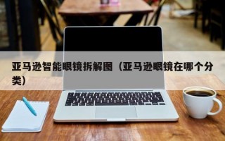 亚马逊智能眼镜拆解图（亚马逊眼镜在哪个分类）