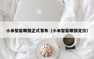 小米智能眼镜正式发布（小米智能眼镜定价）