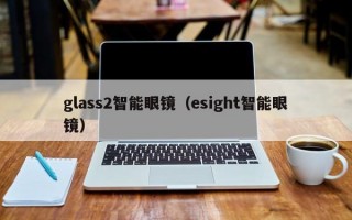 glass2智能眼镜（esight智能眼镜）