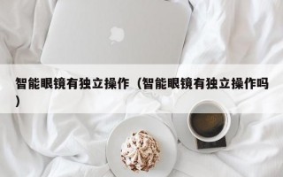 智能眼镜有独立操作（智能眼镜有独立操作吗）