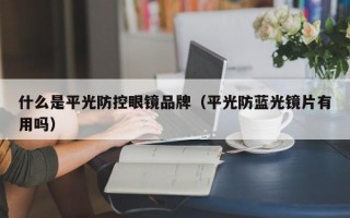 什么是平光防控眼镜品牌（平光防蓝光镜片有用吗）