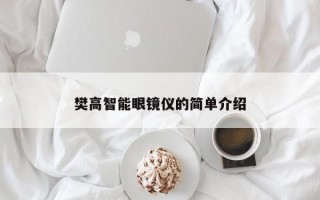 樊高智能眼镜仪的简单介绍